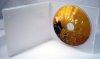 Sturdy CD/DVD Translucent Mailing case -Amaray (Box of 50 cases)